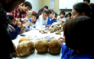 Dos terceros básicos del colegio The Angels School de Ñuñoa realizaron una visita a los laboratorios del Depto. de Antropología